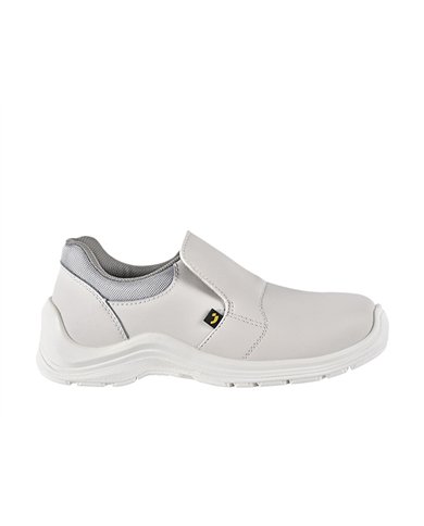 GUSTO81