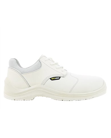 VOLLUTO81