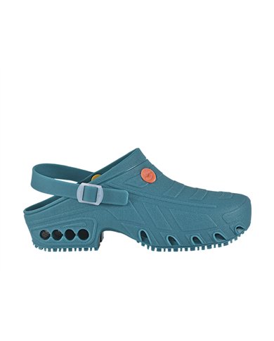 OXYCLOG